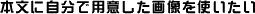 {Ɏŗpӂ摜g